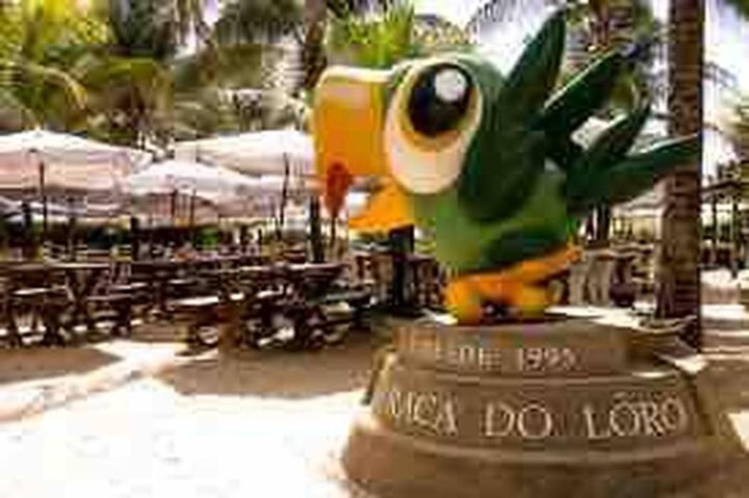 Pe Na Areia Vista Total Mar - O Paraiso E Aqui! Salvador da Bahia Exterior foto