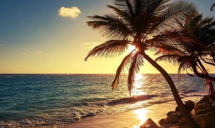 Pe Na Areia Vista Total Mar - O Paraiso E Aqui! Salvador da Bahia Exterior foto